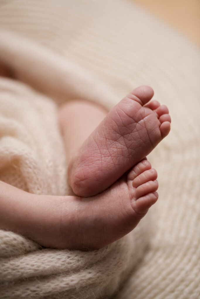 Hochwertige Neugeborenenfotos mit feinen Makrodetails